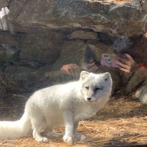 Meet your Posher, Raevin